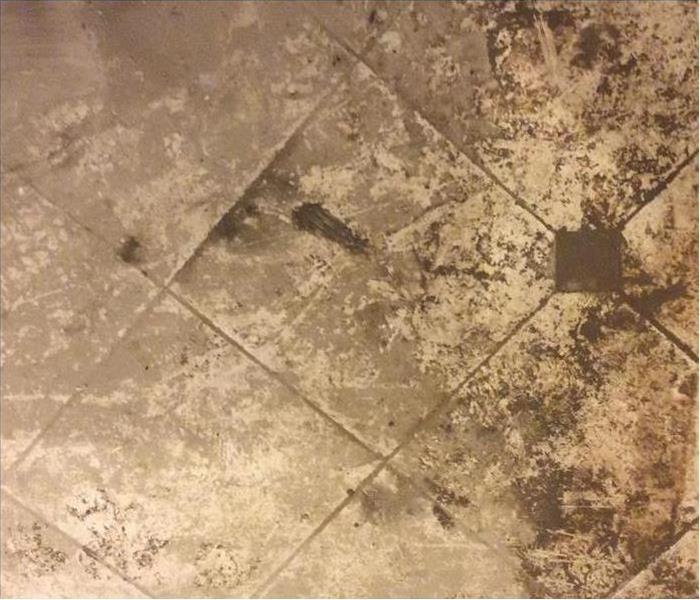 Muddy white tile floor.