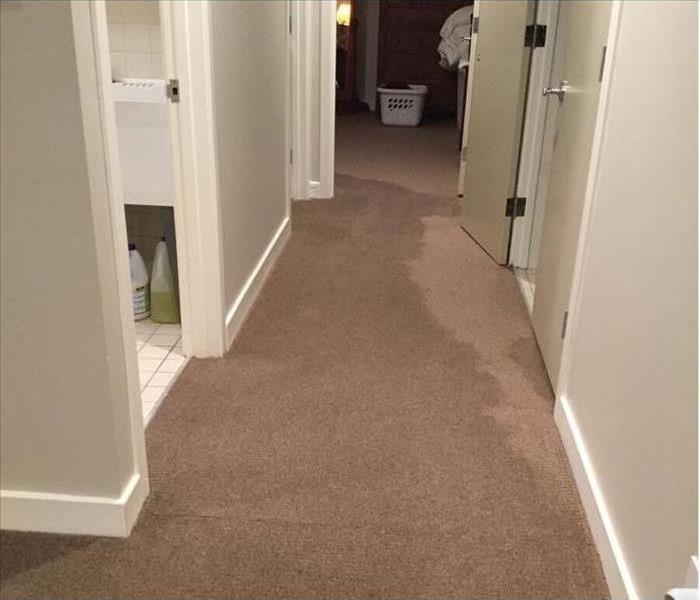 Wet tan carpet in a hallway with white walls.