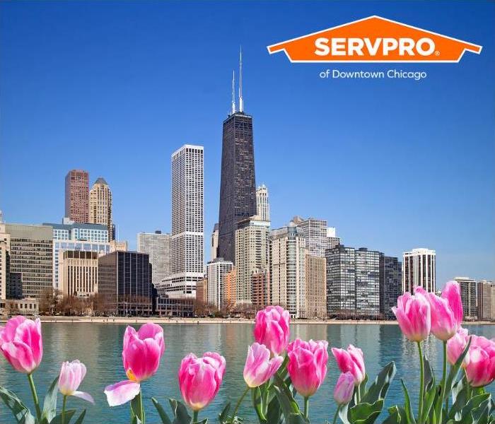 A view of Downtown Chicago is shown from a pier where tulips are growing.